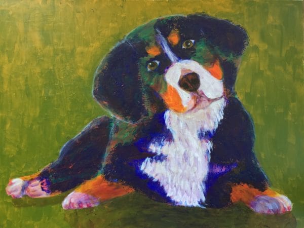 Head cocked and waiting, a Bernese Mountain Dog puppy lies on golden green grass. Blue, Orange, Teal, Green, White. Large Painting by artist Donald Ryker in textured expressionist impressionist art style with unique impasto glaze technique.