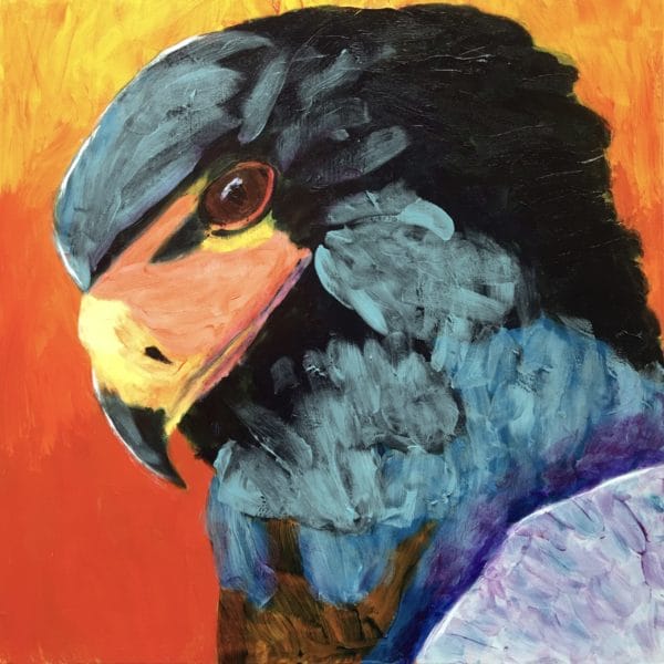 A vividly colored profile of a hawk against a fiery background. Orange, black, teal, purple, yellow. Mountain. Large Painting by artist Donald Ryker in textured expressionist impressionist art style with unique impasto glaze technique.