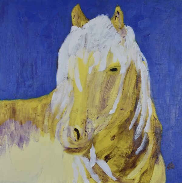 Yellow Horse aka Lilly