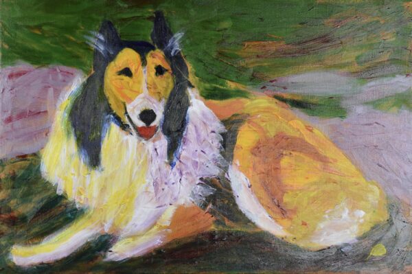 Collie